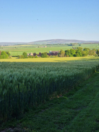 Others 5, Jerusalem Farm Pods, East Lothian