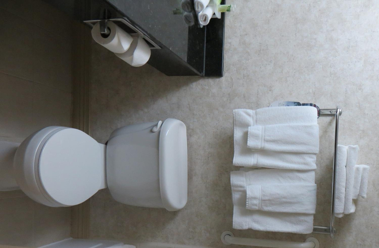 Bathroom, Hilton Garden Inn Dalton, Whitfield