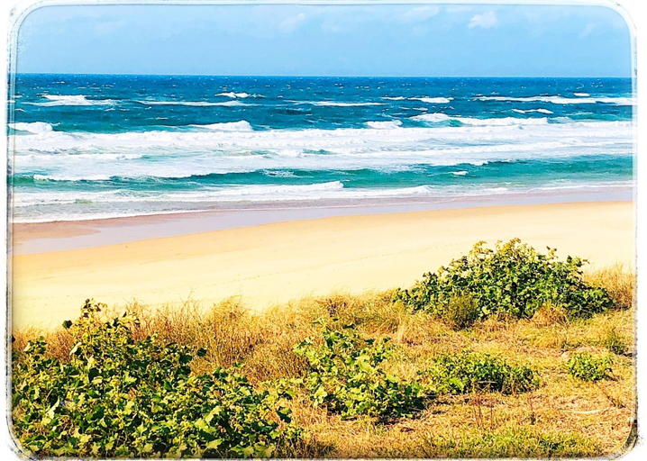 Others 5, Au Clair Des Landes, Landes