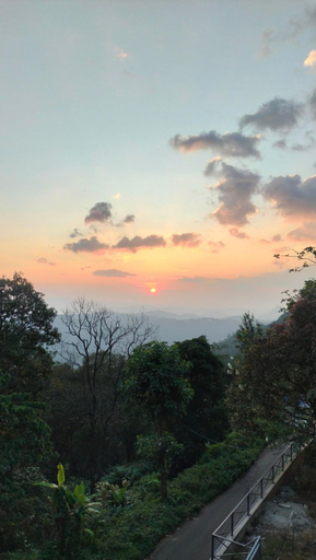 Others 4, Elettaria Valley, Idukki