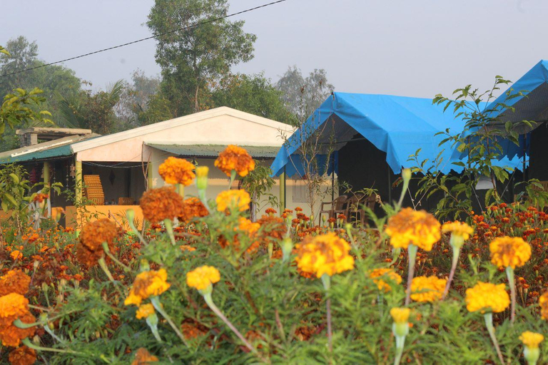 Exterior & Views 2, Bhitarkanika Eco Resorts, Kendrapara