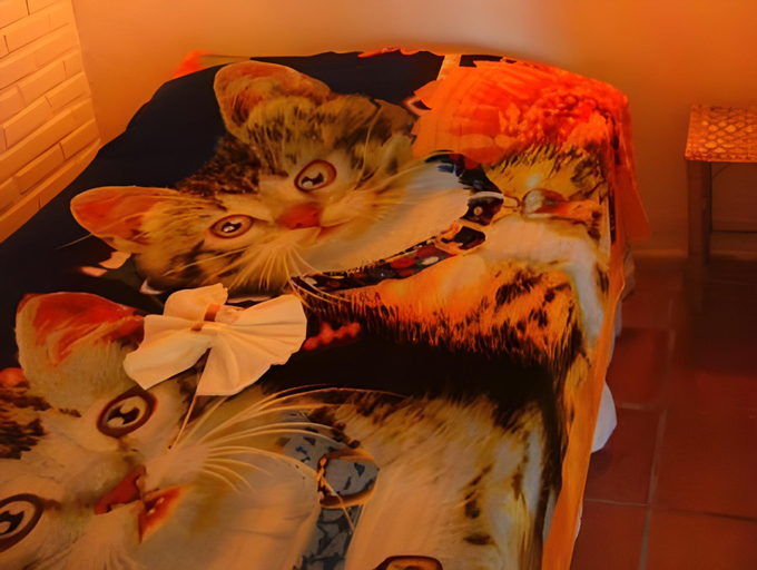 Bedroom 9