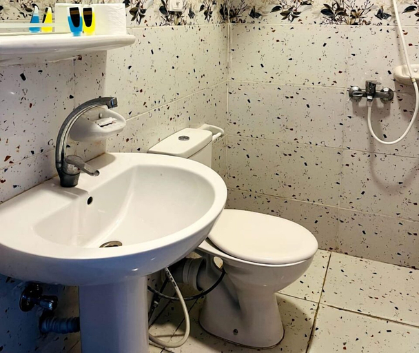 Bathroom 2, Park Plaza hotel, 'Abdin