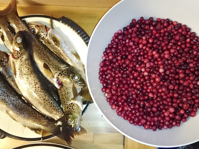 Food & Drinks, 4 Star Holiday Home in Skei i Jolster, Jølster