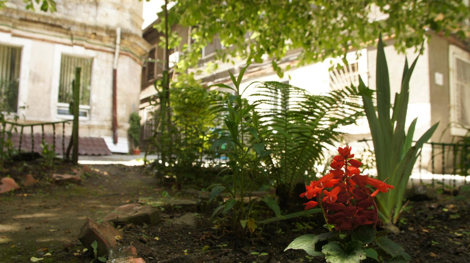 Others 5, Dream Hostel Odessa, Odes'ka