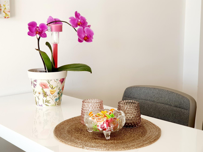 Others 5, Bonavista Apartment, Opatija/Veprinac