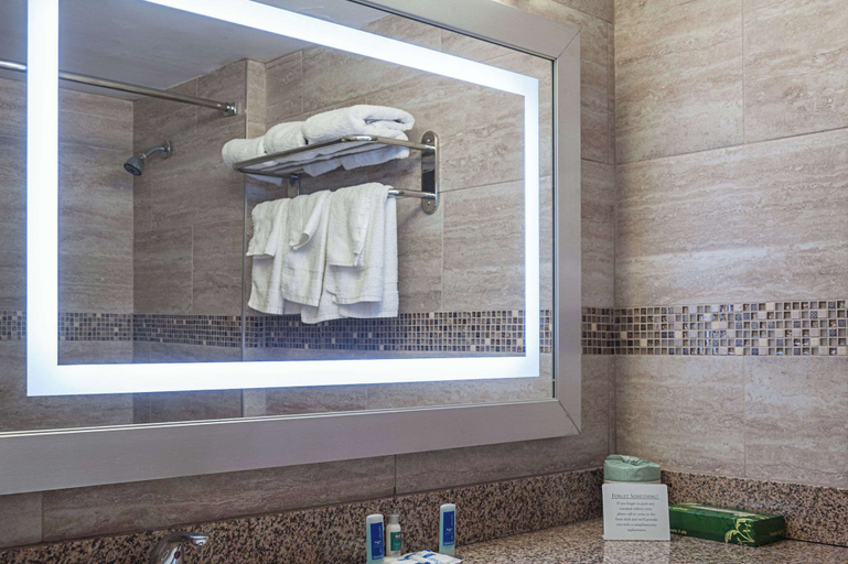 Bathroom 4, Rodeway Inn Meadowlands, Secaucus