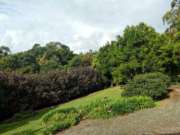 Others 3, Wyndover Mountain Retreat, Tamborine Mountain