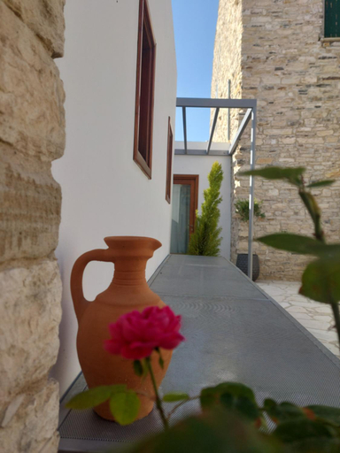 Others 4, AROMA DRYOS, Larnaca