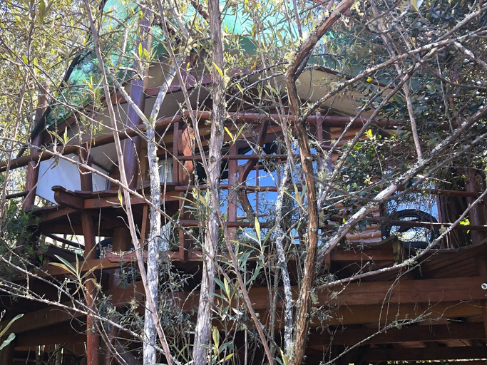 Exterior & Views 2, Teniqua Treetops, Eden