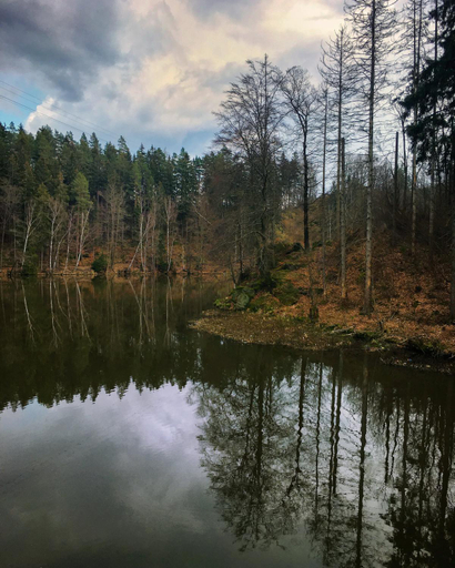 Others 4, Rajskie Jablka - azyl dla doroslych, Lwówek Śląski