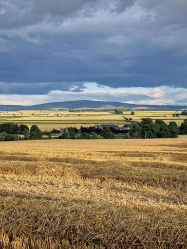Others 4, Jerusalem Farm Pods, East Lothian