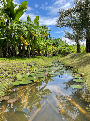 Others 5, Keoneo Farm, Vĩnh Cửu