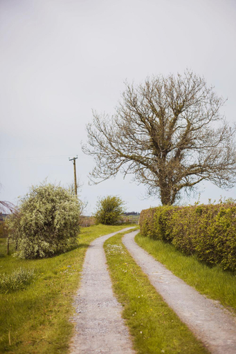 Others 3, Siramik, Carmarthenshire