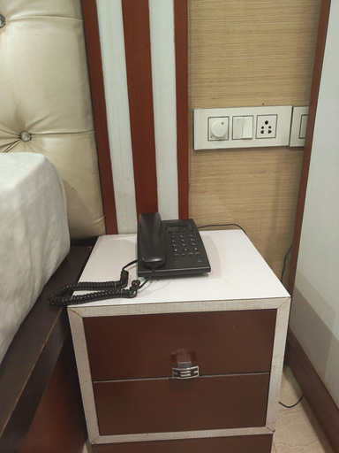 Others 3, Hotel MGM Residency, Delhi