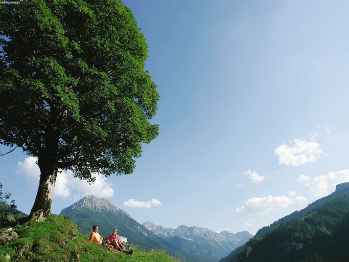 Others 4, Apartment in Kleinarl Near Ski Lift, Sankt Johann im Pongau