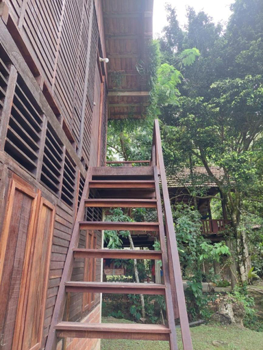 Jungle Zen Janda Baik Campsite, Bentong