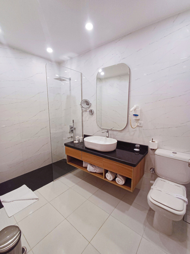 Bathroom 5, Basma Executive Club, Aswan