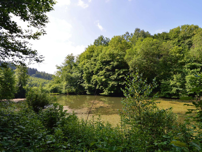 Others 5, Family Villa With Garden, Luxembourg