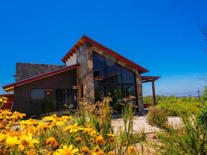 Garden, Casa 7 by 7 Valles, Ensenada
