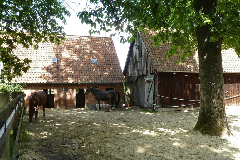 Exterior 3, Wohnung in Dorfmark Nahe Luneburger Heide, Heidekreis