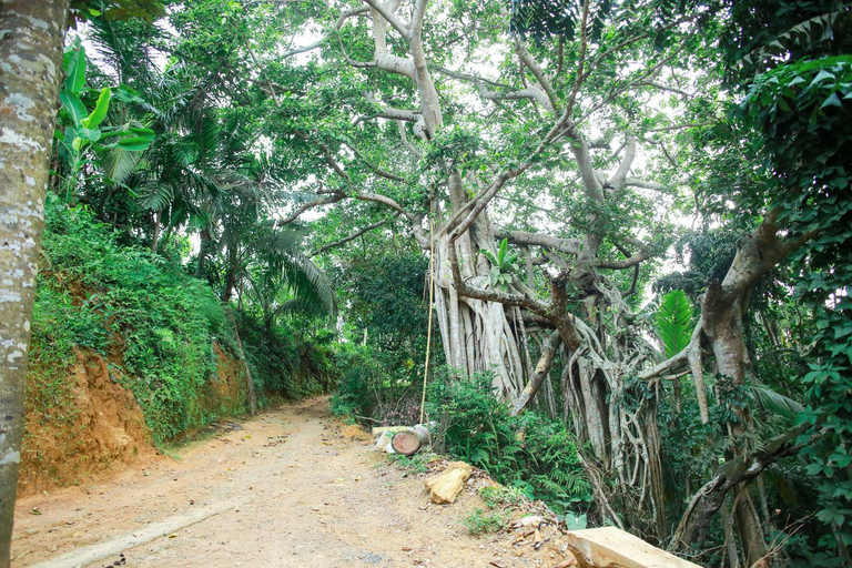 Others 2, Banyan Shade Mirissa, Weligama