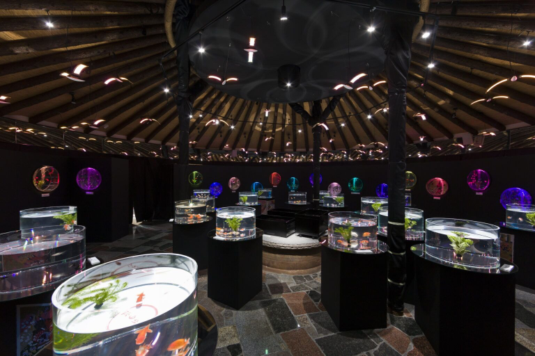 Food & Drinks 5, Gotemba Kogen Tokinosumika, Gotemba