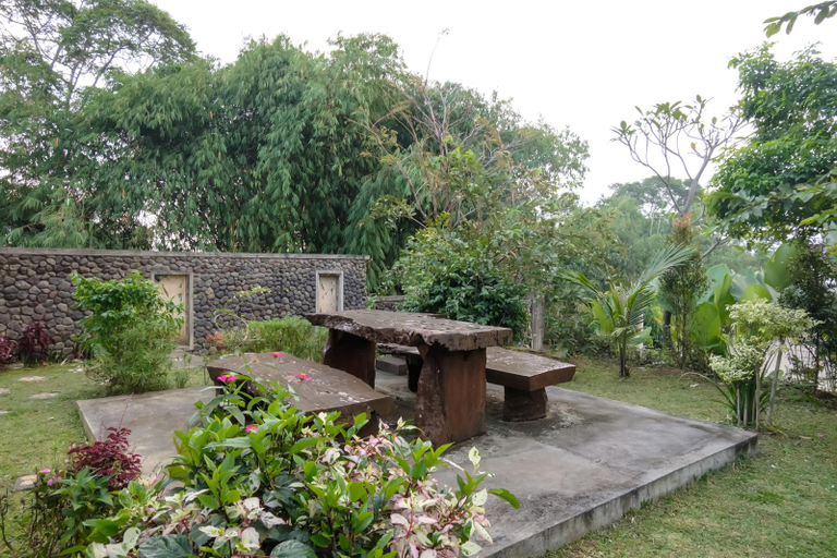 Scenery 7