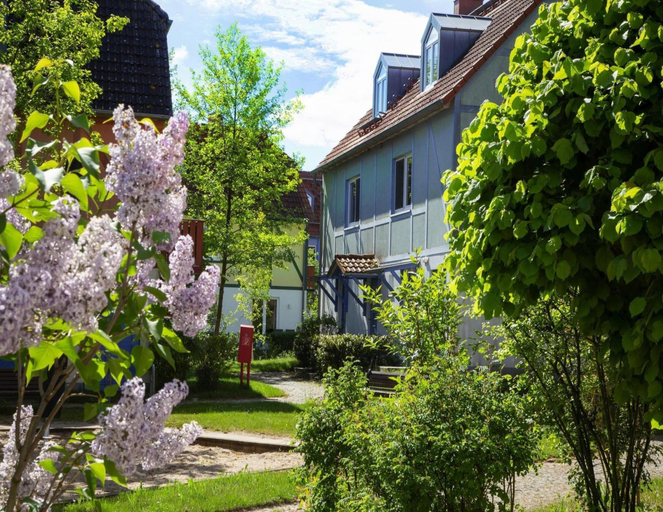 Garden, Beech Resort Fleesensee Holiday Complex, Gohren-lebbin, Mecklenburgische Seenplatte