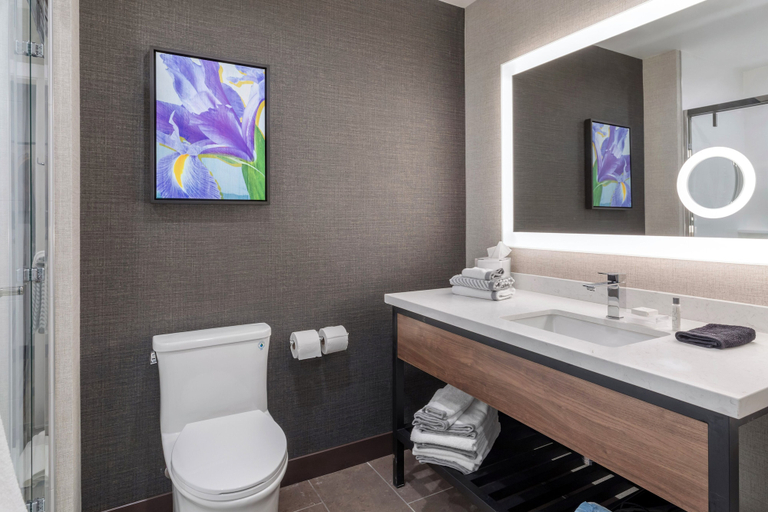Bathroom 4, Cambria Hotel Pigeon Forge, Sevier