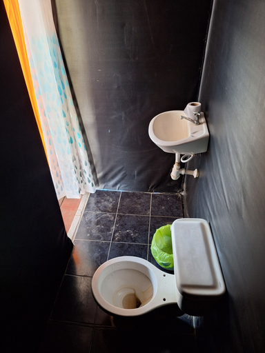 Bathroom 5, Canopy Tours Iquitos, Maynas