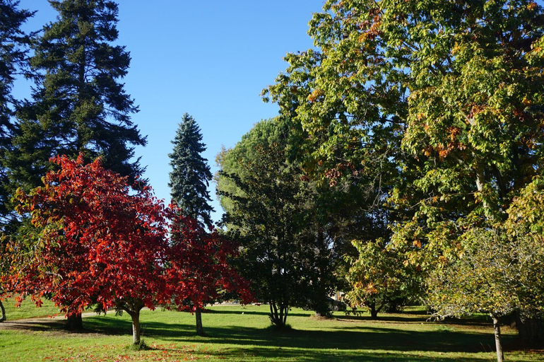 Others 2, le Bosc de castang, Dordogne
