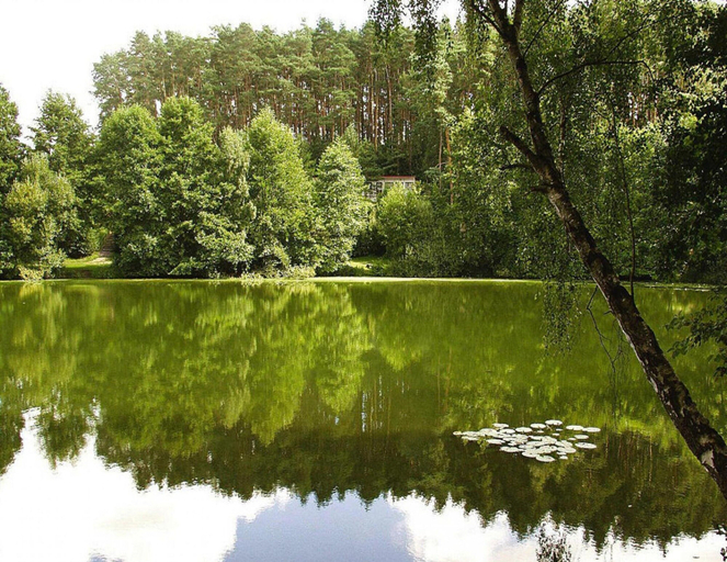 View from property 2, Feriensiedlung Am Grundlossee in Sewekow, Ostprignitz-Ruppin