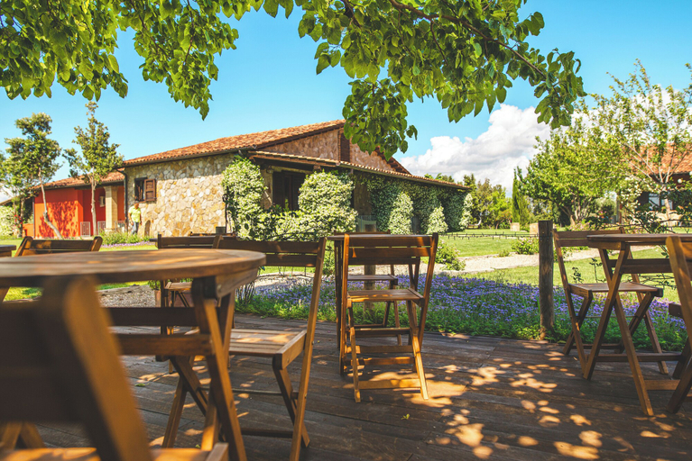 Food & Drinks 4, Casale Poggio Nebbia, Viterbo