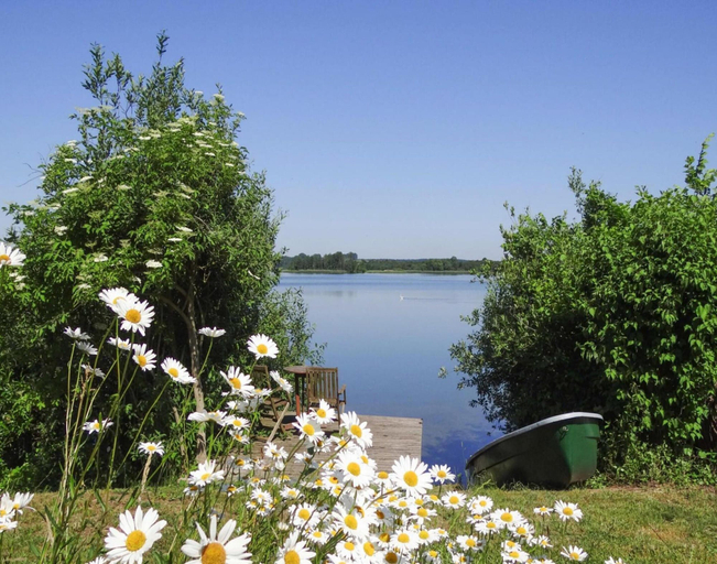 View from property 4, Ferienhaus Seeblick, Furstenwerder, Uckermark