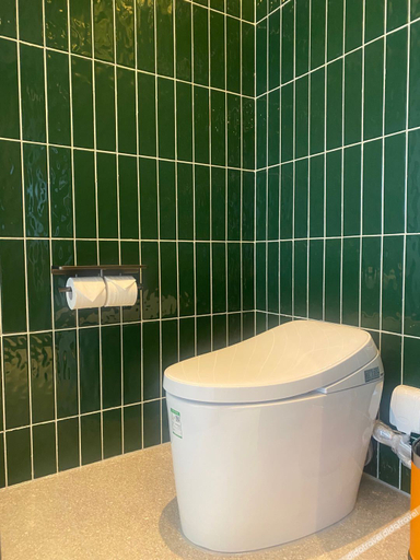 Bathroom 3, Orange Hotel Shenzhen Longhua Metro Station, Shenzhen