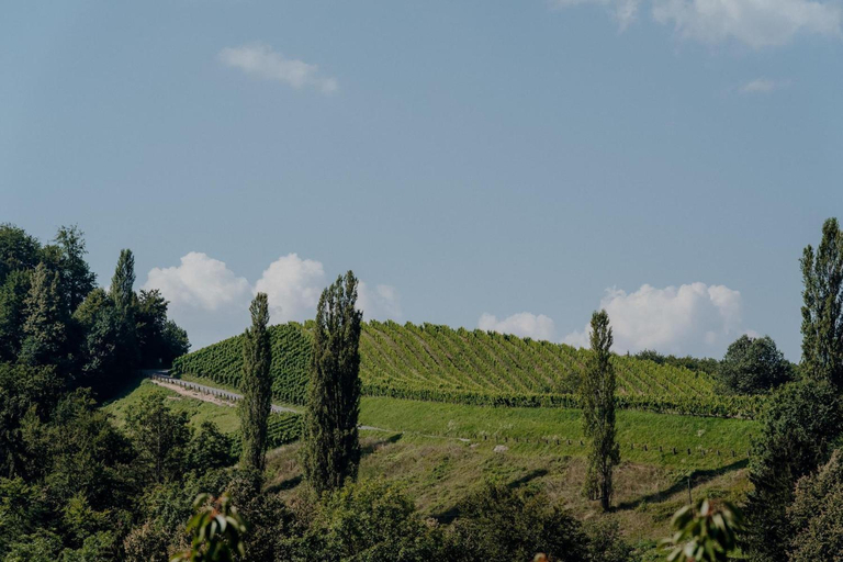 Others 2, Weingut Juritsch, Leibnitz