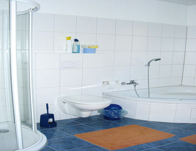 Bathroom 4, Landhaus Amadeus, Radstadt, Sankt Johann im Pongau