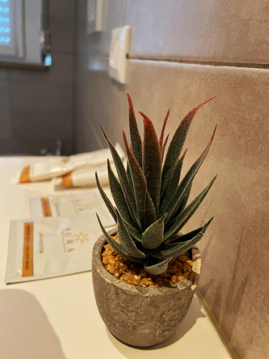 Food & Drinks, Alla Scaletta - Stanze con Bagno Privato e WiFi a Pochi Passi dal Duomo, Modena