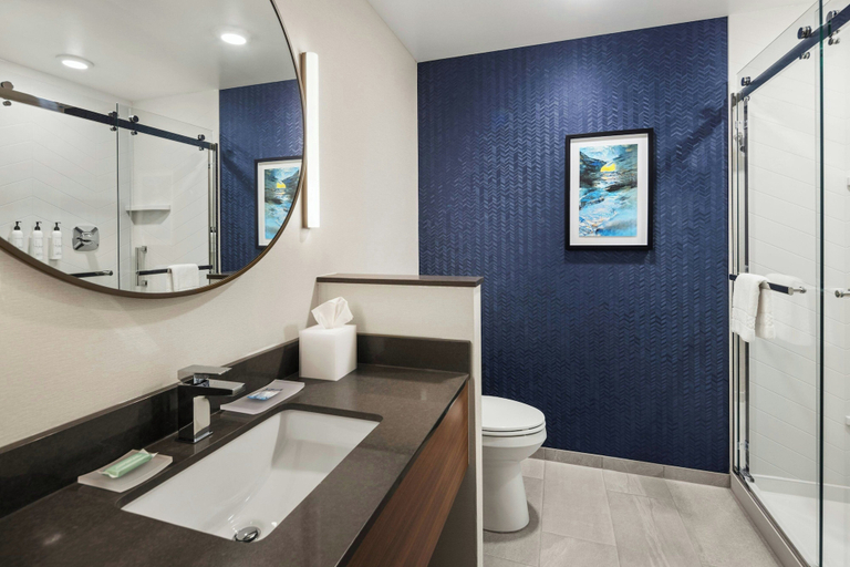 Bathroom 5, Fairfield Inn & Suites by Marriott Cedar Rapids North, Linn