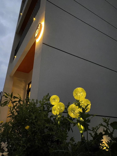 Others 4, Wandering Home B&B, Penghu