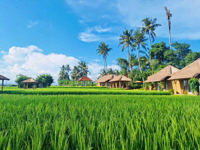 Others 5, Rumah Kita Ecolodge, Gianyar
