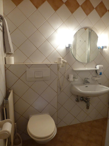 Bathroom 3, Puttererseehof, Liezen