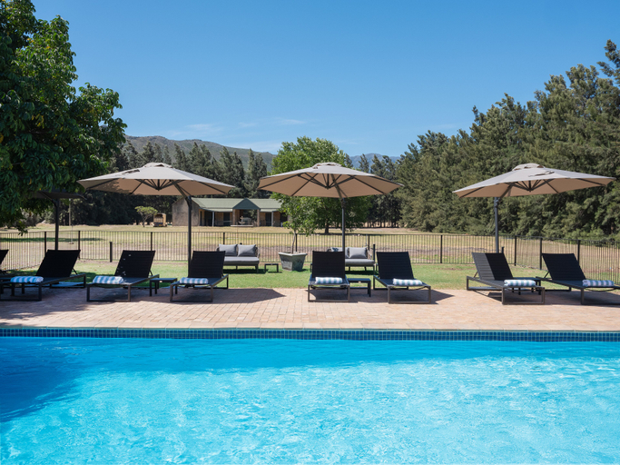 Sport & Beauty 5, Lynx Wine Estate, Cape Winelands