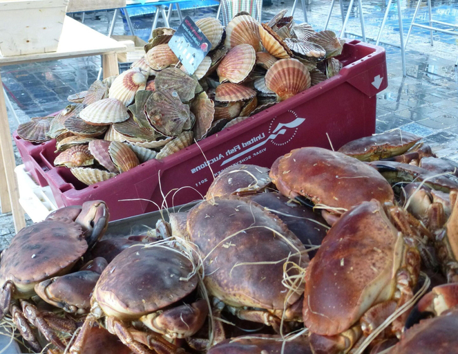 Food & Drinks 5, Stone House Pleumeur-Bodou near Pink Beaches, Côtes-d'Armor
