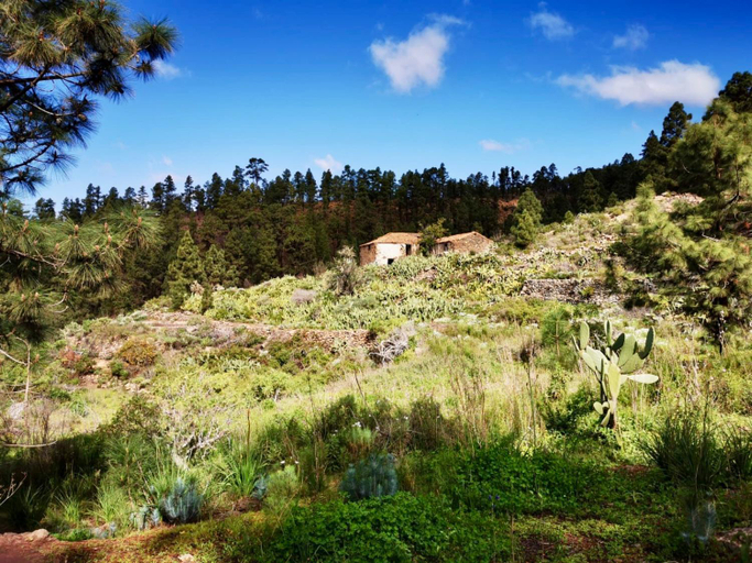 Others 2, Tierrazul Art Boutique White Nordic Suite, Santa Cruz de Tenerife