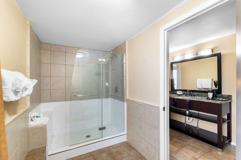 Bathroom 4, Best Western Markita Inn, Bryan