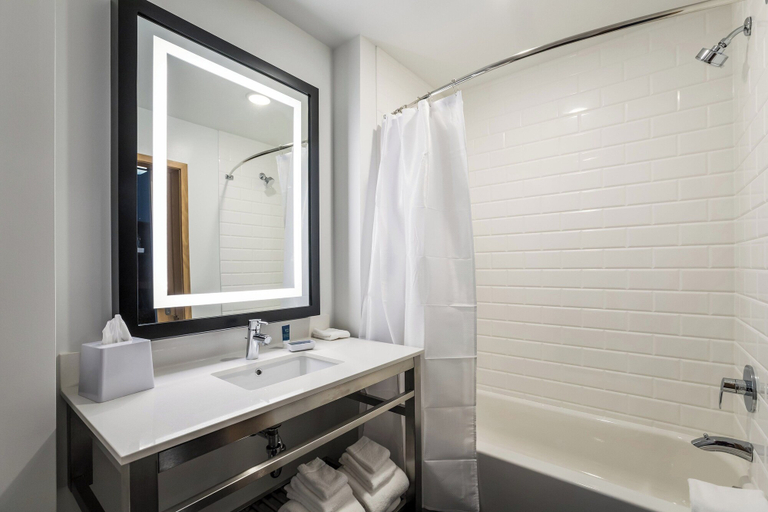 Bathroom 5, Four Points by Sheraton Elkhart, Elkhart