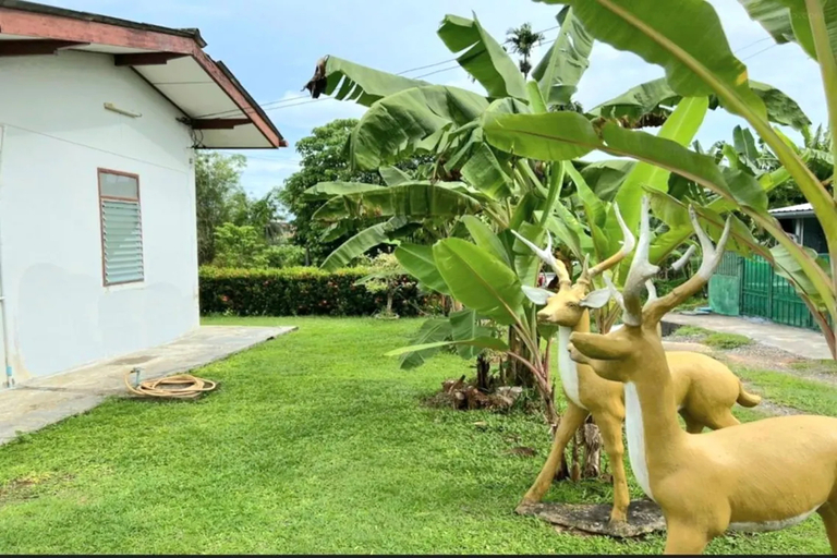 Public Area, Baan Bonsuan Hill Guesthouse, Pulau Phuket