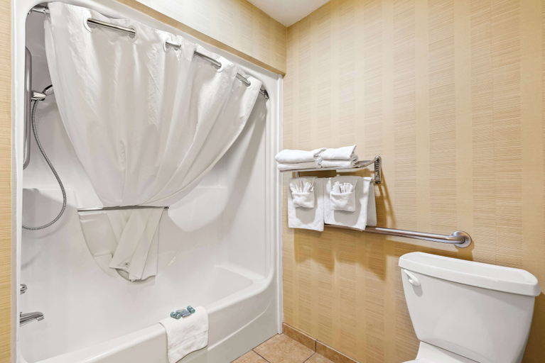 Bathroom 4, Best Western Tower West Lodge, Campbell